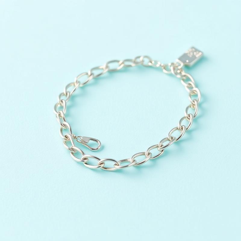 Pulseira Elos Prata 925